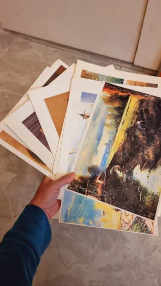 Lote completo:Colección Curso y Laminas