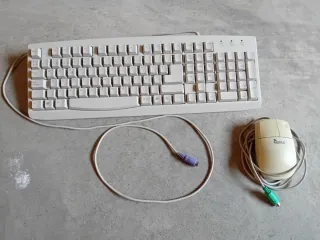Teclado y Ratón Genius Beige/Blanco
