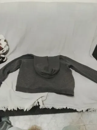 Sudadera Looney Tunes