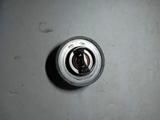 Termostato Peugeot/Citroen 1.9 D