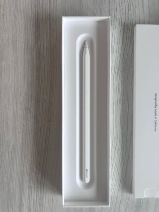 Apple Pencil 2ª Gen Original Sin Uso