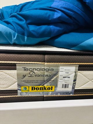 Cama nido con almacenaje azul y verde