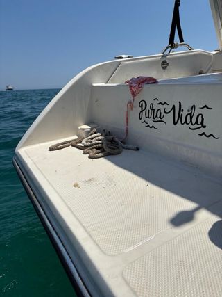 EMBARCACION GALSTRON LR600