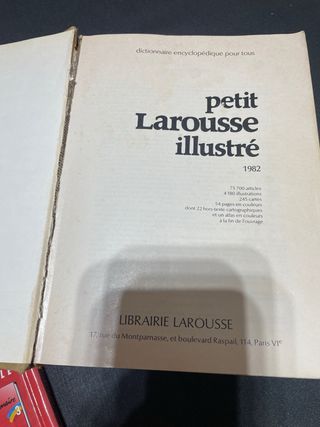 Diccionarios en frances - conjunto 2 euros