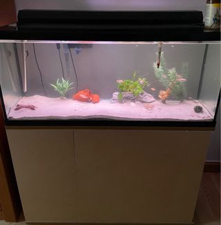 Acuario con mueble y dosificador