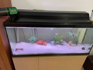 Acuario con mueble y dosificador