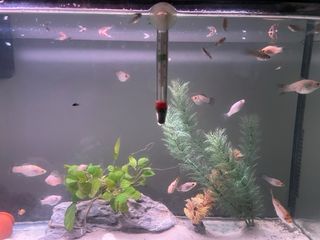 Acuario con mueble y dosificador