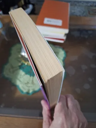 Lote 2 libros en gallego