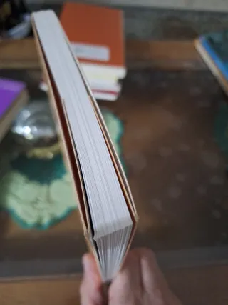 Lote 2 libros en gallego