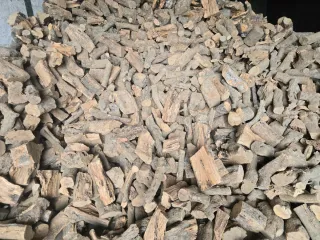 Leña para toda la península ☎️666 902 961