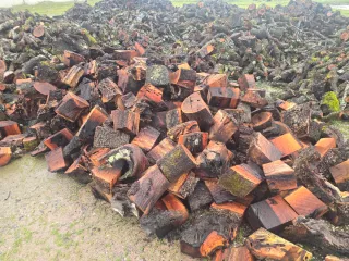 Leña para toda la península ☎️666 902 961