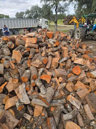 Leña para toda la península ☎️666 902 961