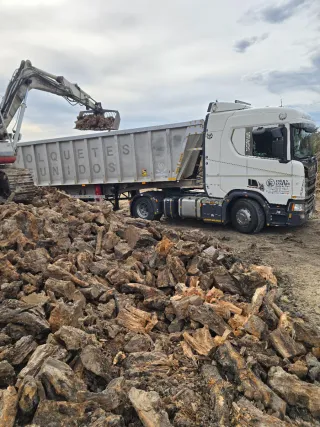 Leña para toda la península ☎️666 902 961