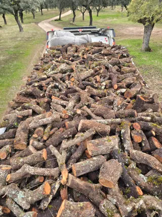 Leña para toda la península ☎️666 902 961