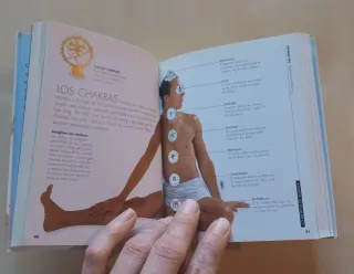 Los Secretos del Ayurveda / The Secrets of Ayur...