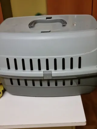 Trasportino per gatti grigio e bianco