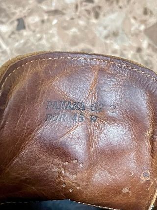 Zapatos Panama Jack Marrones Hombre