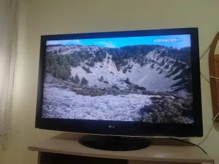 Televisor LG 55 Negro