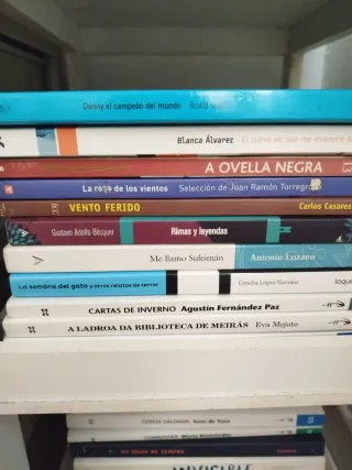 20 Libros lectura. Cada uno 7 e