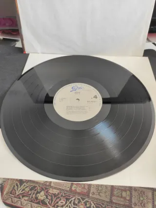 Vinilo LP Epic 12 - Varios Artistas