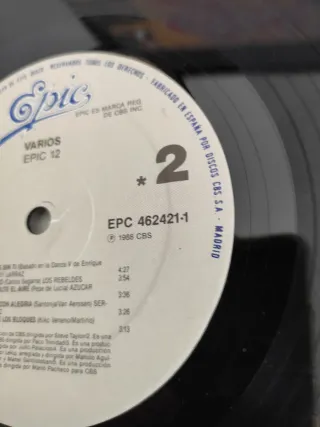 Vinilo LP Epic 12 - Varios Artistas