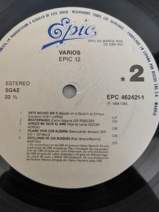 Vinilo LP Epic 12 - Varios Artistas