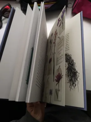 Más allá de Austen: Diez mujeres que cambiaron ...