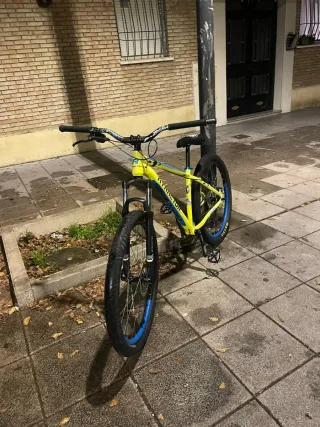Cuadro Bici Atractor 29
