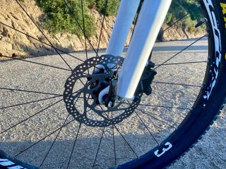 Orbea Alma - ¡Ligera y divertida!