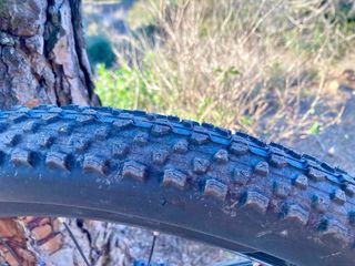 Orbea Alma - ¡Ligera y divertida!