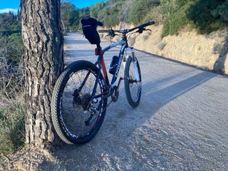 Orbea Alma - ¡Ligera y divertida!