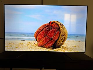 TV TCL 55 4K HDR10 Dolby Vision 120Hz