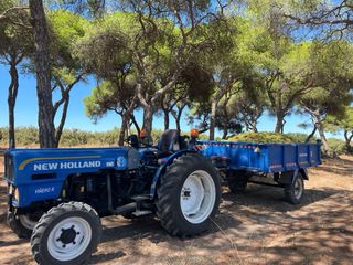 Tractor frutero 50 CV