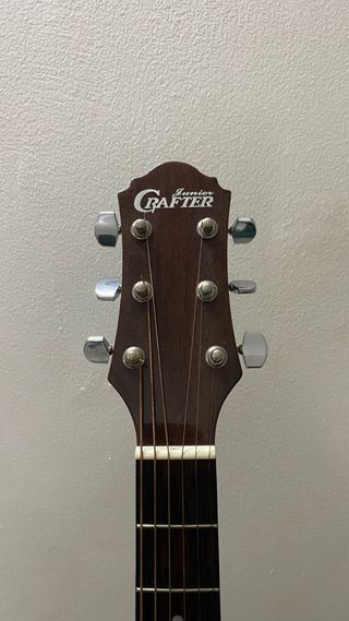 Chitarra Acustica Elettrificata