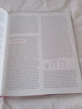 From Lucy to Language