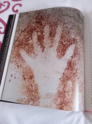 From Lucy to Language