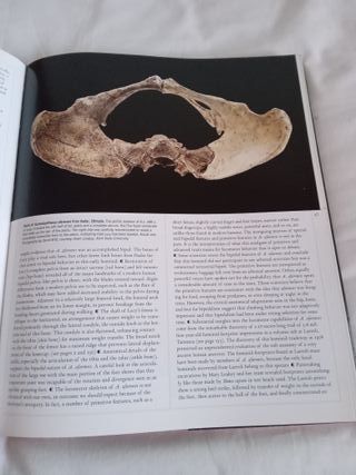 From Lucy to Language