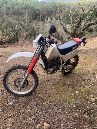 Xr600r