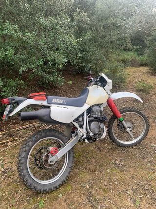Xr600r