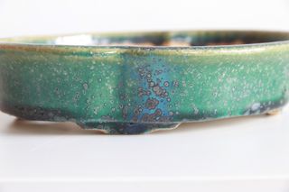 Maceta Bonsái KOYO Cerámica Japón