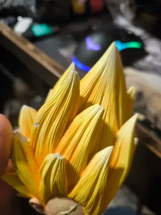 Figura Majin Vegeta Class V1 dragon ball