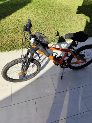 Bicicleta 20 pulgadas naranja