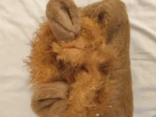 Disfraz León 3 piezas hecho a mano