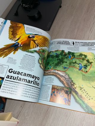 libro atlas animales