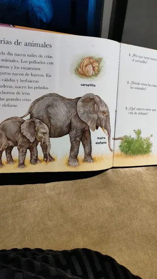 Crías de animales (Mundo Animal/ Animal World) ...