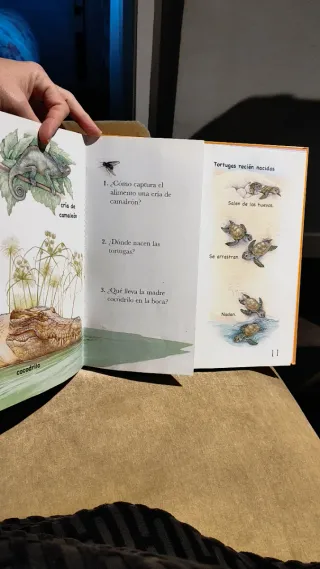 Crías de animales (Mundo Animal/ Animal World) ...