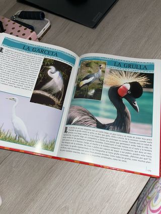 fascinante libro de animales