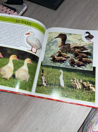 fascinante libro de animales