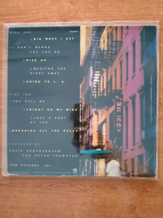 Lote 70s/80s – Eddy Grant, Cat Stevens, Frampton