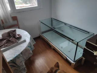 Acuario grande cristal. 150 x 50 x 50